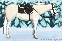 Horse Color:Cremello Splash  and Palomino Pearl Splash 