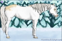 Horse Color:Silver Classic Champagne Dun Splash Frame 