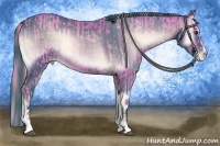 Horse Color:Watercolor Palomino Onyx Sabino Splash Rabicano and Watercolor Brown Onyx Sabino Appaloosa Rabicano