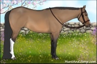 Horse Color:Bay Dun