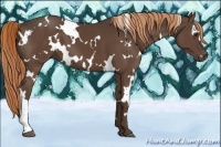 Horse Color:White Spotted Liver Chestnut 