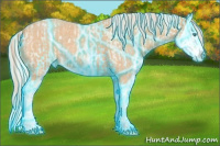 Horse Color:Thunderstruck Cremello Roan Splash and Gray Thunderstruck Cremello Roan Splash