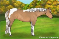 Horse Color:Silver Buckskin Tobiano 