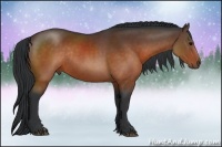 Horse Color:Brown Rabicano