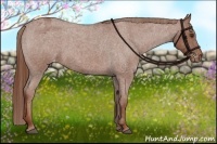 Horse Color:Red Roan Appaloosa