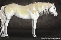 Horse Color:Watercolor Palomino Onyx Splash