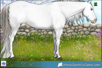 Horse Color:Buckskin Dun Blanket 