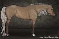 Horse Color:Silver Bay Dun