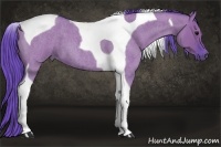Horse Color:Watercolor Grullo Roan Tobiano