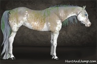 Horse Color:Watercolor Bay Splash  and Watercolor Bay Splash Rabicano 