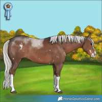 Horse Color:White Spotted Liver Chestnut Mushroom Splash