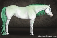 Horse Color:Watercolor Buckskin Onyx Splash
