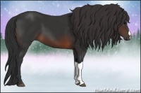 Horse Color:Brown 
