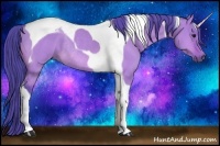 Horse Color:Watercolor Bay Dun Tobiano Rabicano