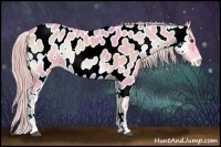 Horse Color:Watercolor Chocolate Palomino Onyx Sabino Near Leopard Rabicano