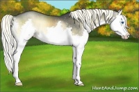 Horse Color:Liver Red Onyx Splash Rabicano