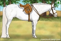 Horse Color:Perlino Sabino Frame Appaloosa Rabicano 