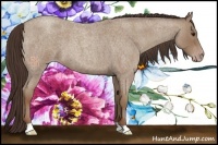 Horse Color:Classic Champagne Roan 