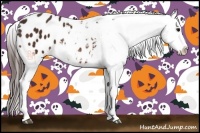 Horse Color:Bay Sabino Splash Appaloosa