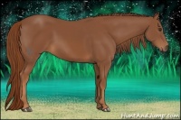 Horse Color:Chestnut Sabino
