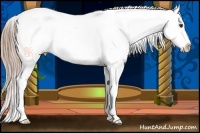 Horse Color:Red Dun Roan Appaloosa