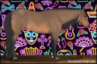 Horse Color:Buckskin Roan 