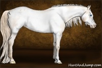 Horse Color:Gold Champagne Roan Frame Varnish Rabicano