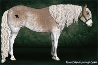Horse Color:White Spotted Chocolate Silver Smoky Black