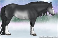 Horse Color:White Spotted Brown Chinchilla 