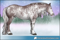 Horse Color:White Spotted Chocolate Brown Chinchilla Rabicano  and White Spotted Chocolate Silver Black Chinchilla Rabicano 