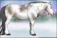 Horse Color:Nacre White Spotted Brown Ice