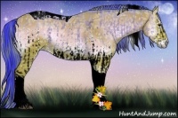 Horse Color:Watercolor White Spotted Bay Ice Tobiano and Watercolor Bay Ice Onyx Sabino Tobiano