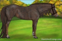 Horse Color:Liver Chestnut Sabino  and Liver Chestnut Sabino 