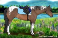 Horse Color:Buckskin Tobiano 