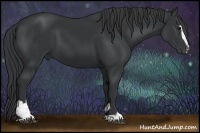 Horse Color:Black Sabino