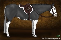 Horse Color:Black Splash 