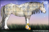Horse Color:Plaid White Spotted Buckskin Ice Onyx Tobiano and Watercolor Plaid White Spotted Buckskin