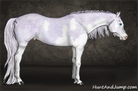 Horse Color:Watercolor Silver Bay Ice Roan Dun Splash Rabicano 