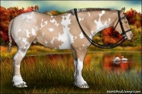 Horse Color:White Spotted Liver Chestnut Pearl 
