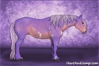 Horse Color:Watercolor White Spotted Silver Black Sabino 