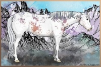 Horse Color:Watercolor White Spotted Silver Brown 