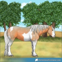 Horse Color:Watercolor White Spotted Silver Brown Tobiano 