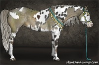 Horse Color:Liver Chestnut Appaloosa  and Chocolate Palomino Splash 