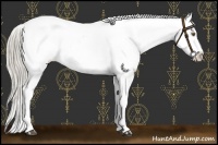 Horse Color:Chocolate Palomino Near Leopard  and Chocolate Palomino Tobiano Near Leopard 
