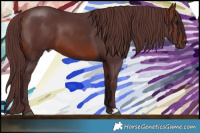 Horse Color:Chocolate Bay 