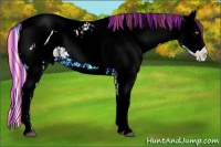 Horse Color:ERROR: UNKNOWN ANOMALY and ERROR: UNKNOWN ANOMALY