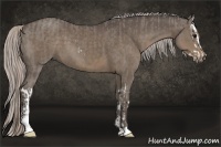Horse Color:Silver Grullo Sabino Splash and Silver Black Sabino