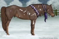 Horse Color:White Spotted Liver Chestnut 