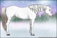 Horse Color:White Spotted Liver Chestnut Appaloosa 