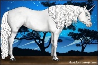 Horse Color:Cremello Splash Tobiano Appaloosa